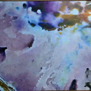 Obra do artista Donizetti Garcia